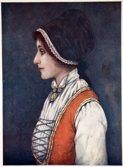 Costume worn in the Bergen District, 1905 by Nico Jungman